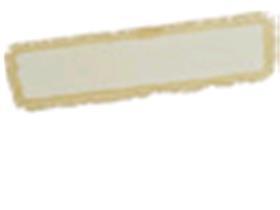 DIVERSEY MOP  Taski Micro Mop, 40 cm - Scheitlin Papier DIVERSEY MOP  Taski Micro Mop, 40 cm
