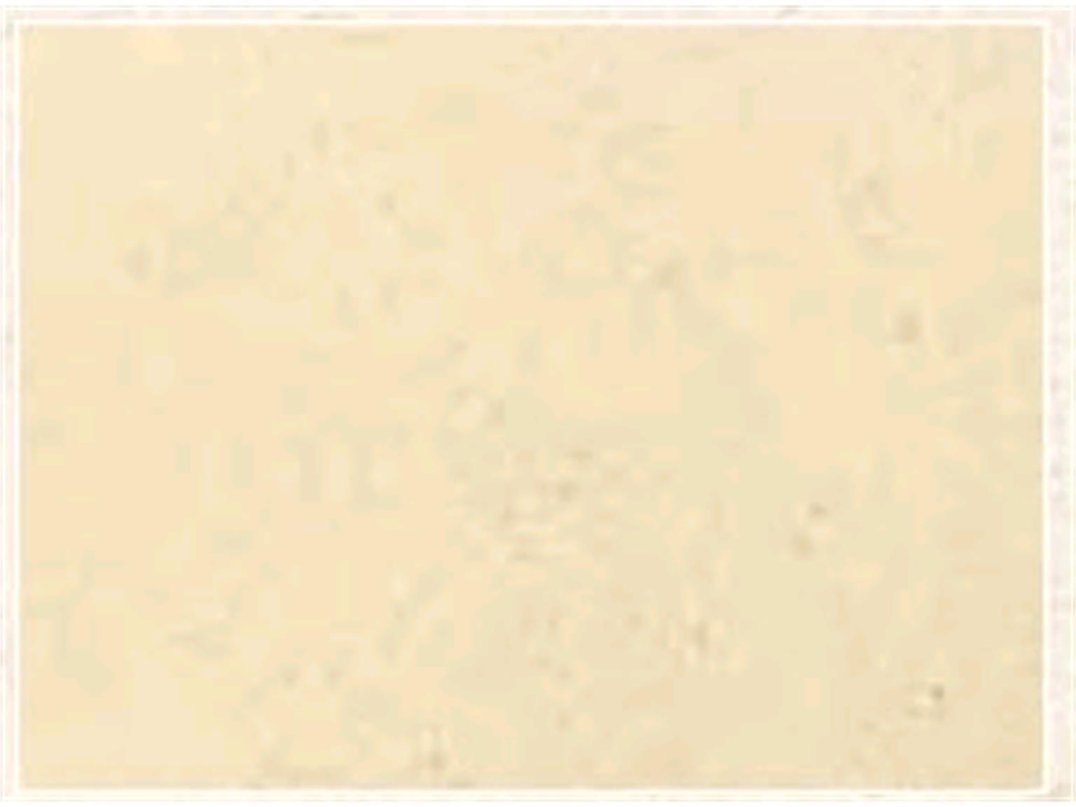 TISCHSET GRASPAPIER  40 x 30 cm, Graspapier, einfarbig