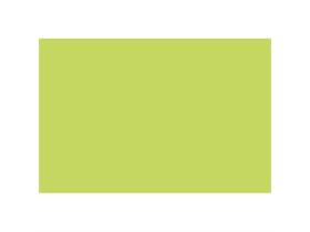 TISCHSETS AIRLAID  40 x 30 cm, UNI, lime