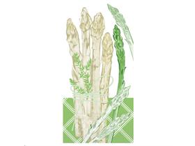 SERVIETTEN TISSUE  40 x 40 cm, Spargel