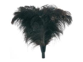 UNGER ENTSTAUBUNG  Staubwedel, Straussenfeder