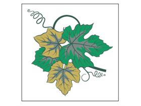 TASSENUNTERSETZER  "Weinranke",1-lagig, 85x85mm, 3-farb - Scheitlin Papier TASSENUNTERSETZER  "Weinranke",1-lagig, 85x85mm, 3-farb